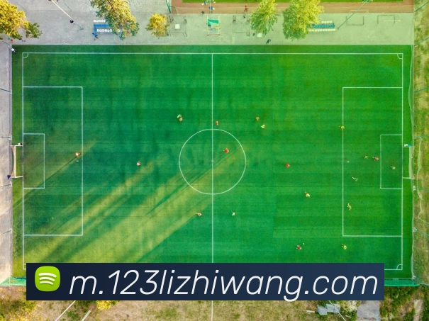 奖项图1
