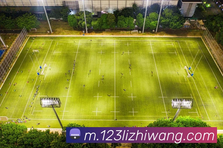 奖项图2